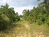 5925 Highway 25 photo